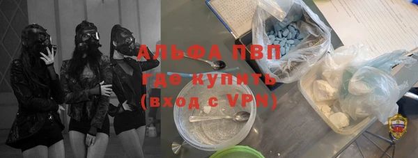 дмт Белокуриха