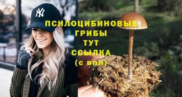 альфа пвп Богородицк