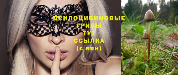 альфа пвп Богородицк