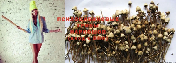 метадон Богородск