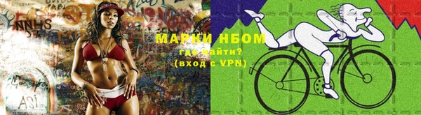 дмт Белокуриха