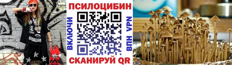 Галлюциногенные грибы MAGIC MUSHROOMS Вяземский