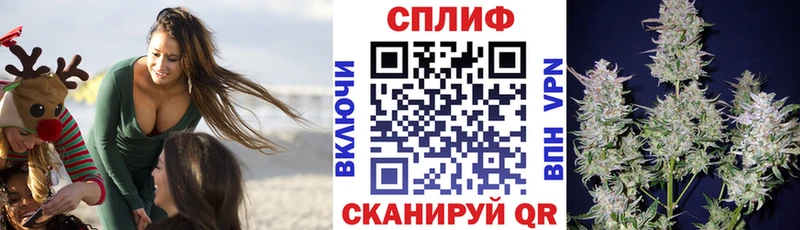 hydra вход Вяземский Бошки марихуана марихуана
